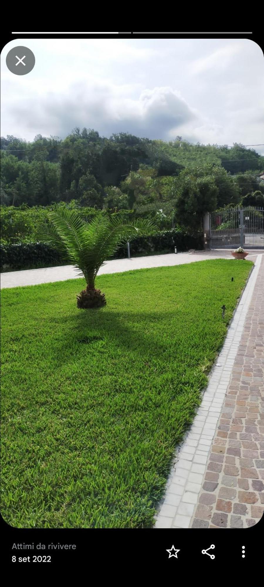Bed and Breakfast Al Boschetto Melizzano Exterior foto
