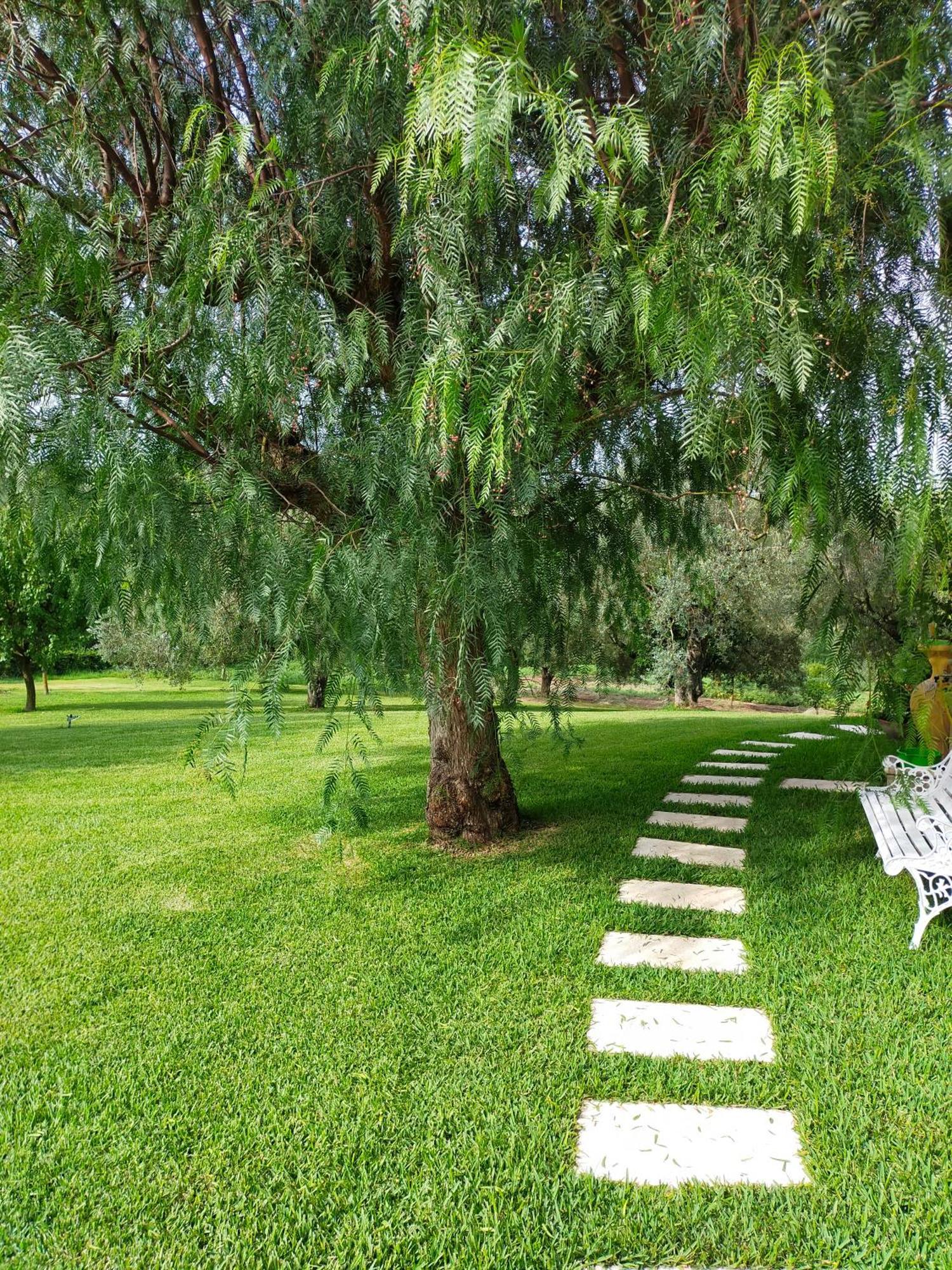 Bed and Breakfast Al Boschetto Melizzano Exterior foto